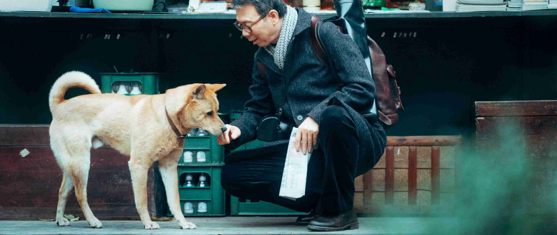 Мой Хатико / Hachiko