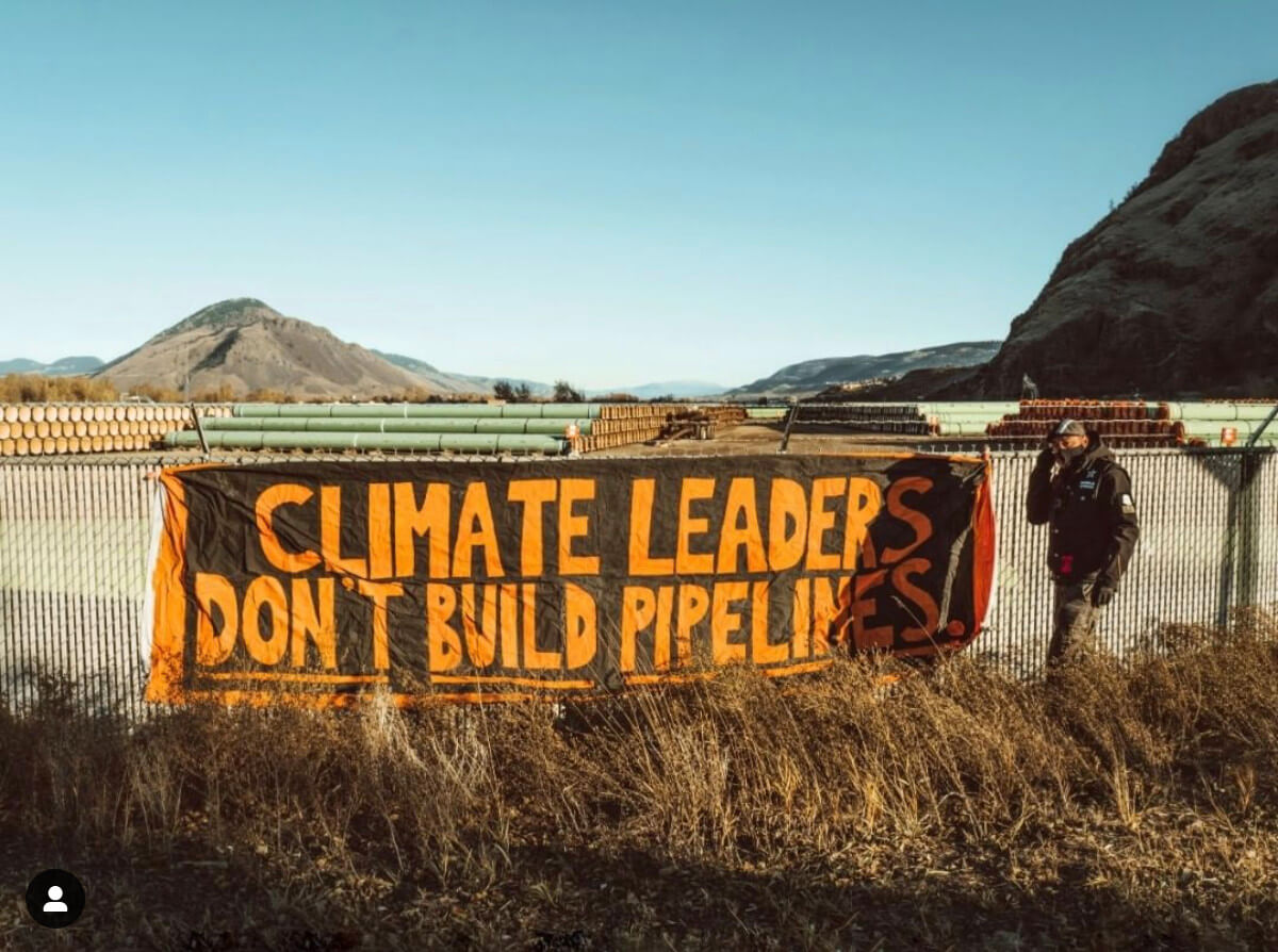 Соисчезновение / Coextinction