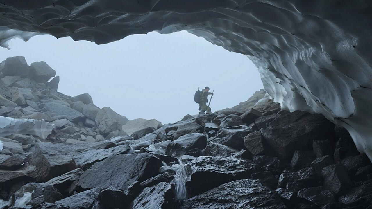 Выход / Haulout