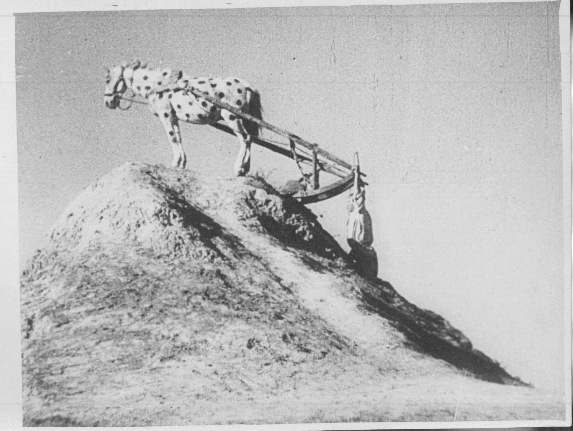 Специальный показ. Счастье