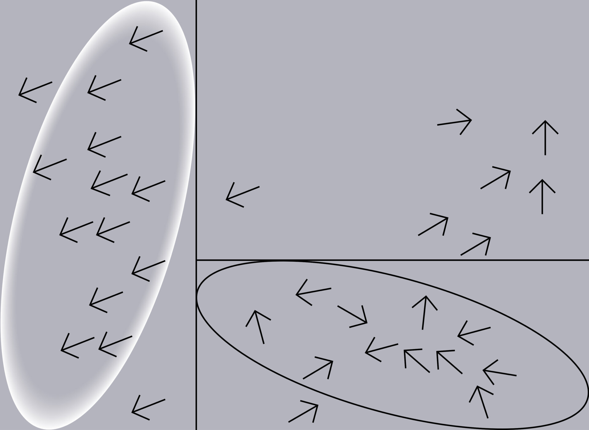 Зотов х Материя. Интенсив: создание городской голубятни