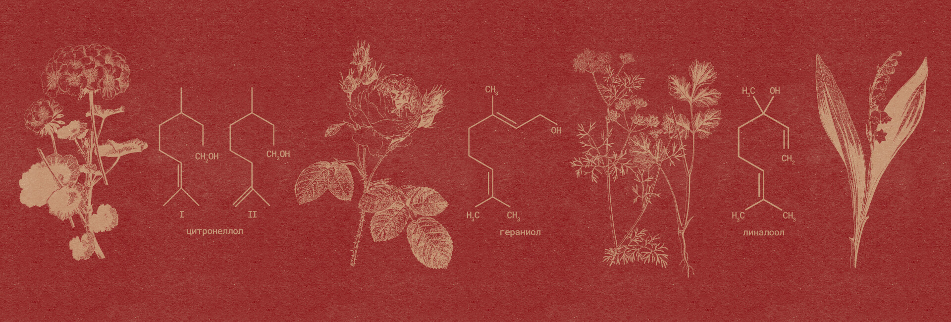 Кирилл Хайкин. «Зачем винтажные ноты в современной парфюмерии?»