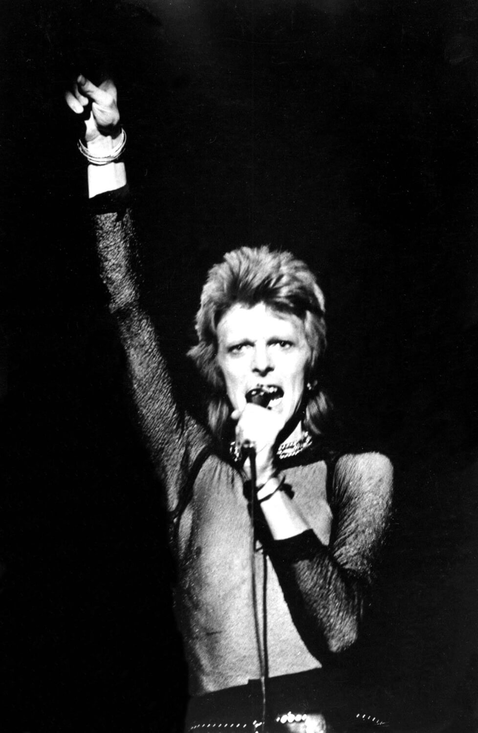 Боуи: последняя глава / David Bowie: The Final Act слайд