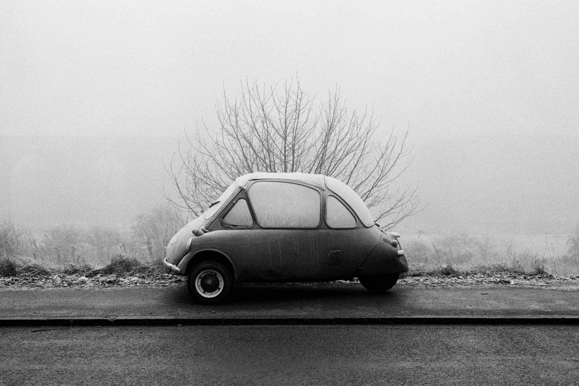 Я – Мартин Парр /I am Martin Parr слайд