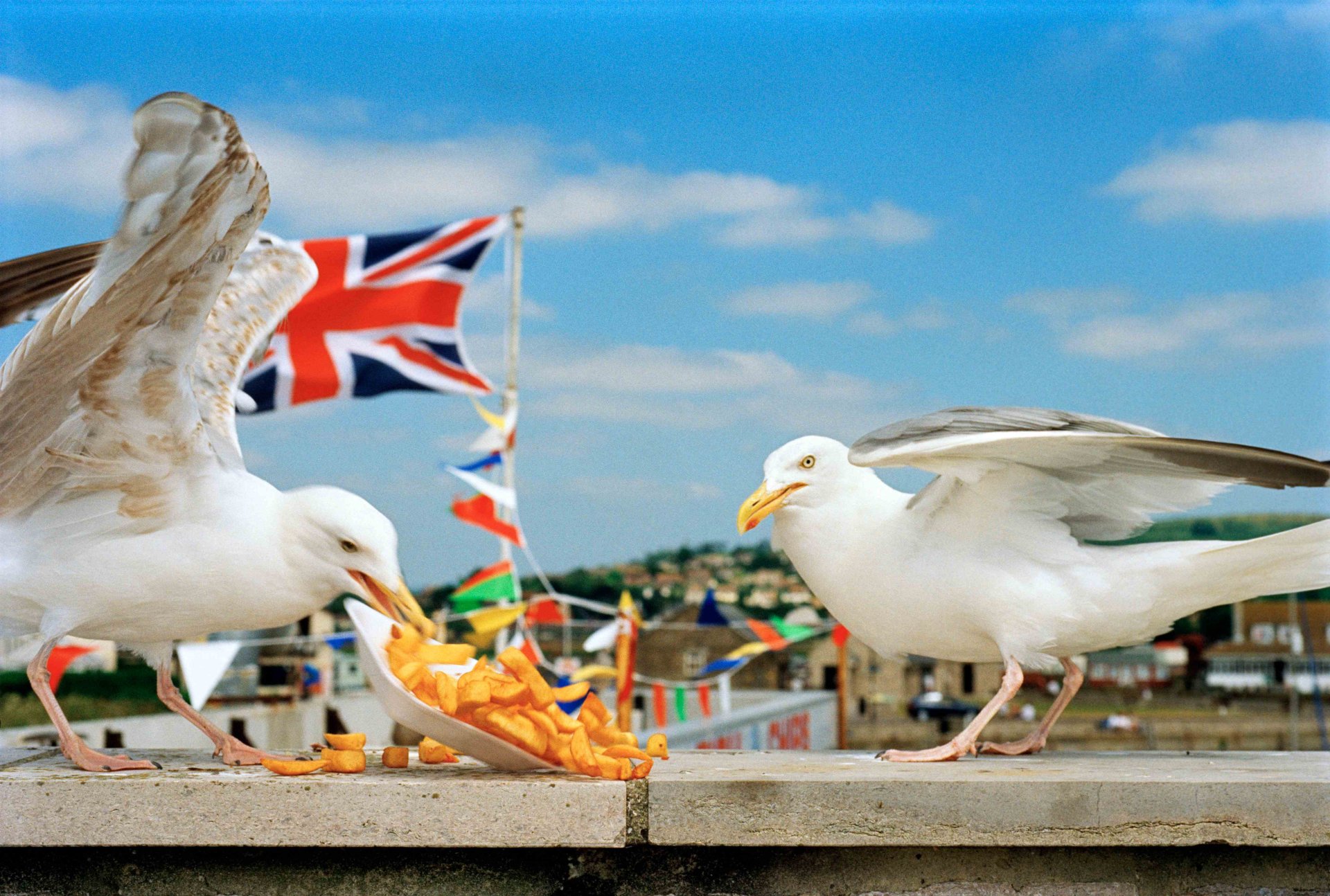 Я – Мартин Парр /I am Martin Parr слайд