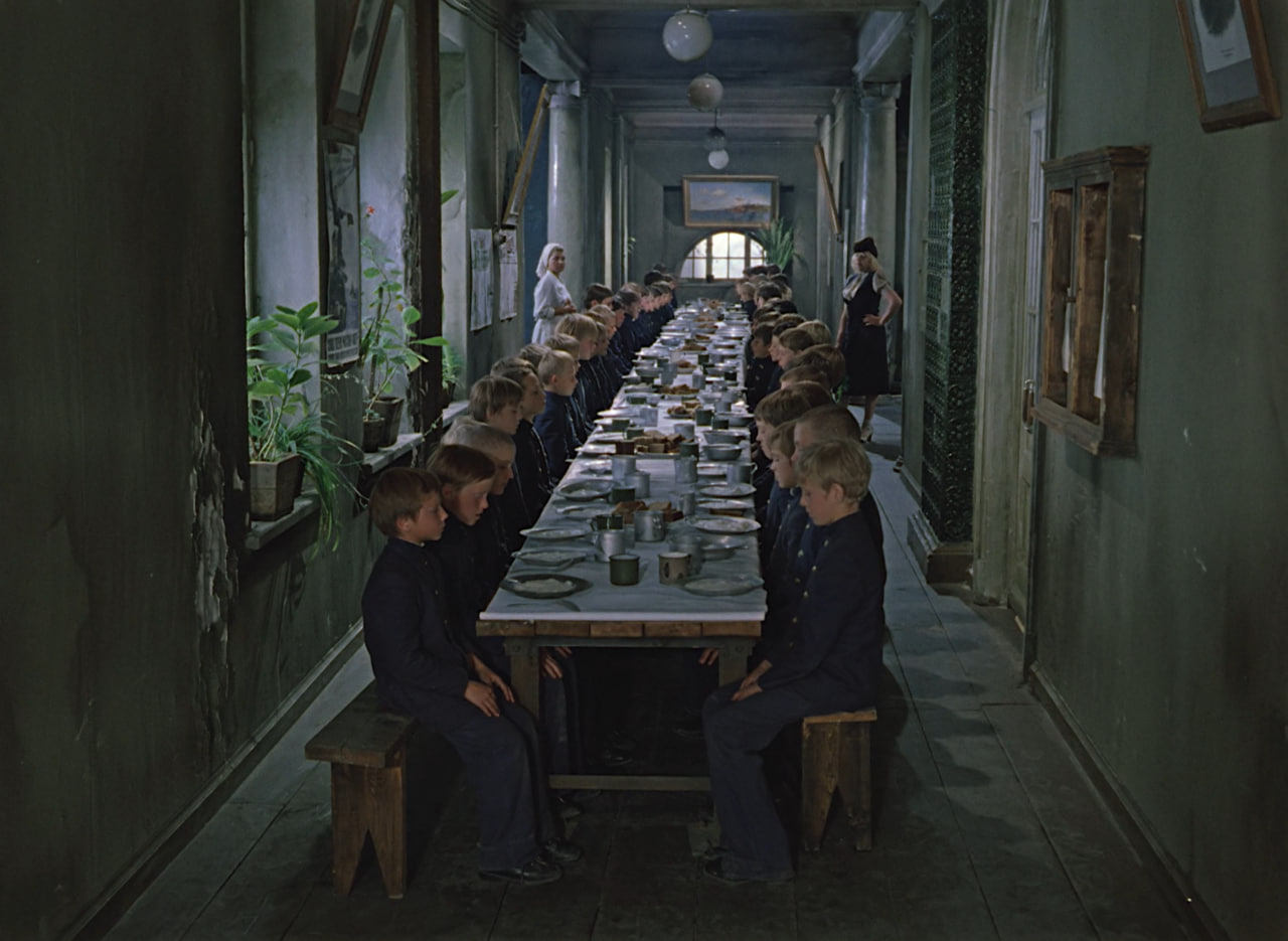 Подранки