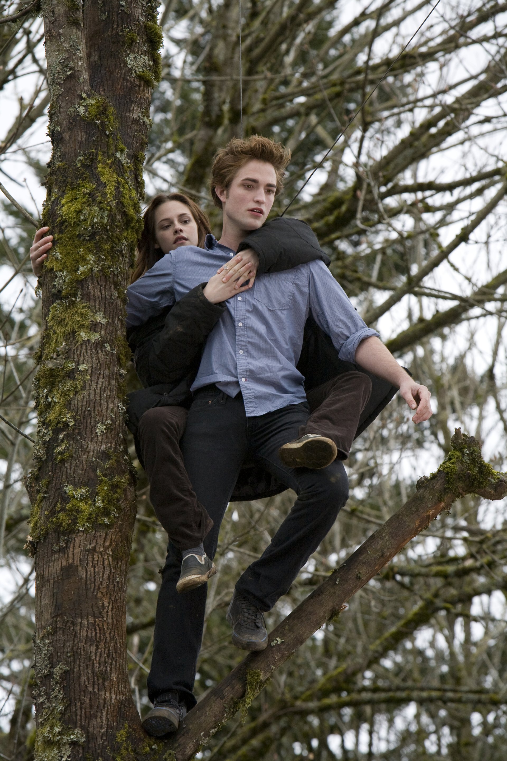 Twilight слайд