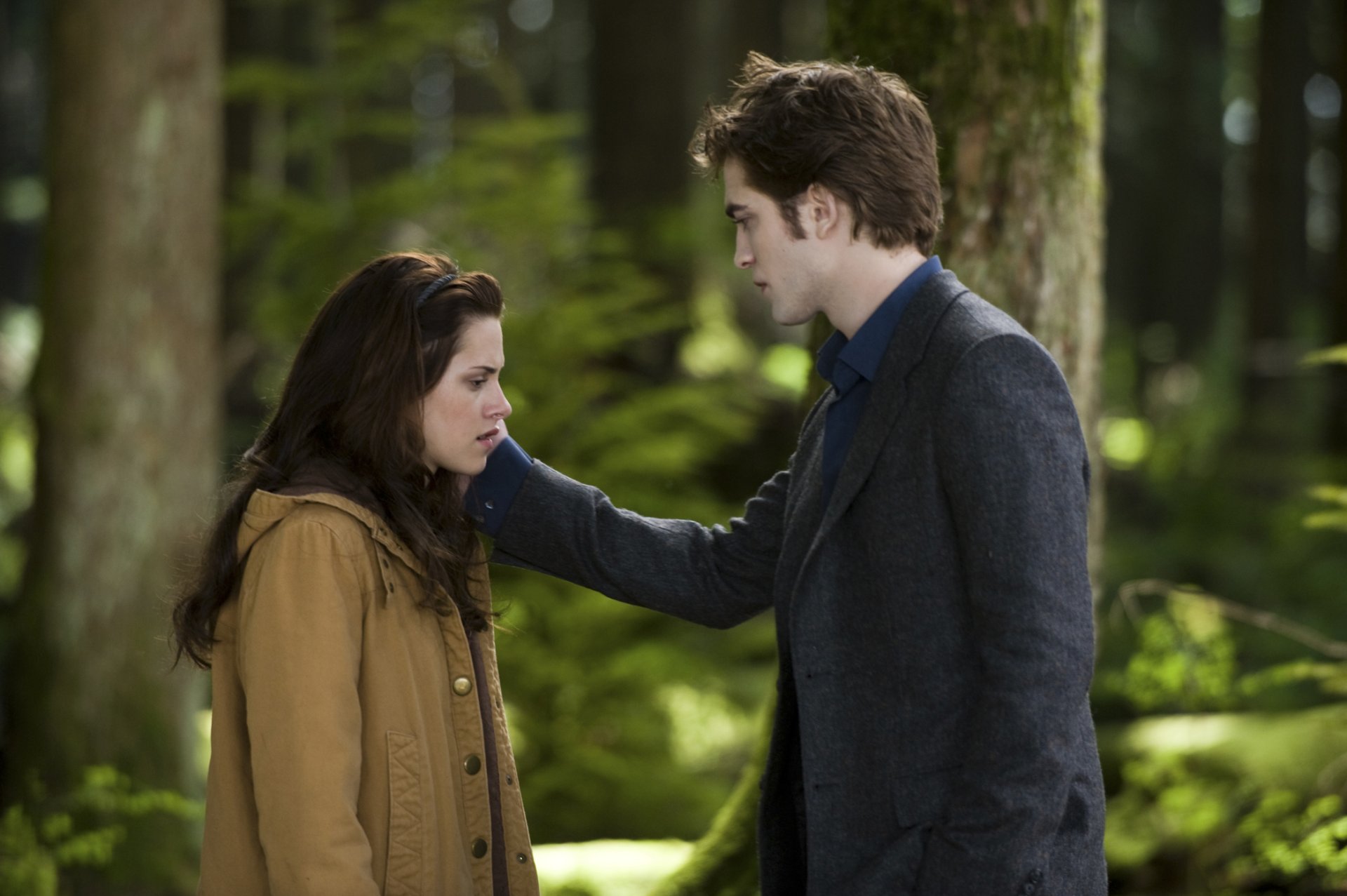 Сумерки. Сага. Новолуние / The Twilight Saga: New Moon слайд