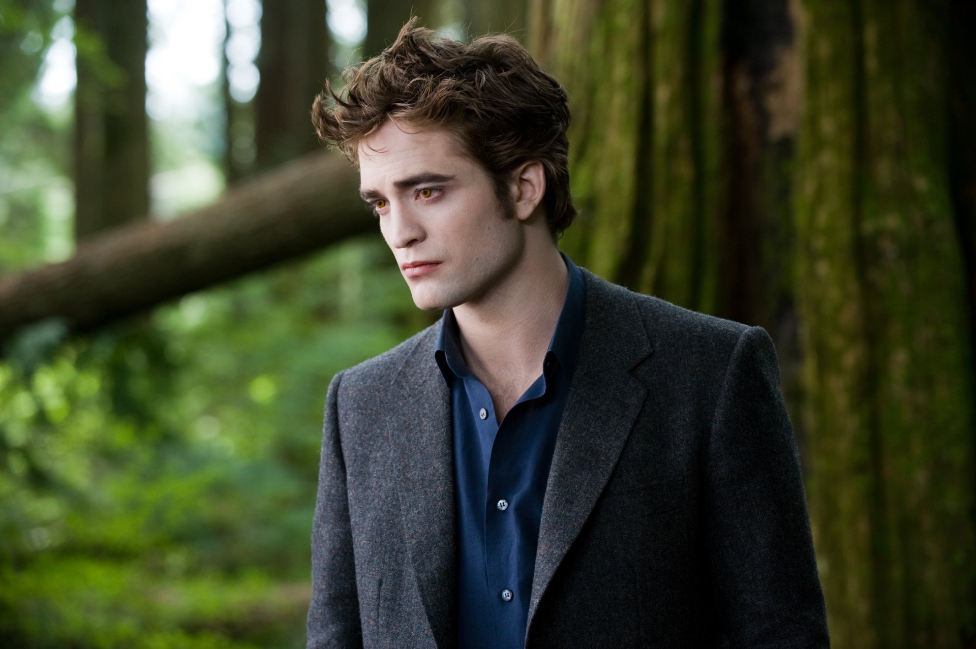 Сумерки. Сага. Новолуние / The Twilight Saga: New Moon слайд