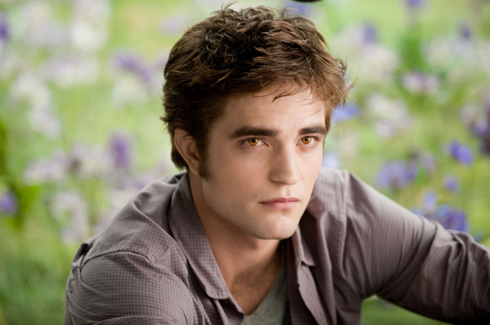 The Twilight Saga: Eclipse слайд